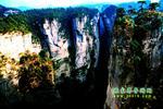 【純玩拼團(tuán)線路6】張家界、黃龍洞、天門山、天子山三晚四日游
