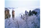 春節(jié)旅游：張家界、袁家界、天子山、寶峰湖/黃龍洞度假二晚三日游